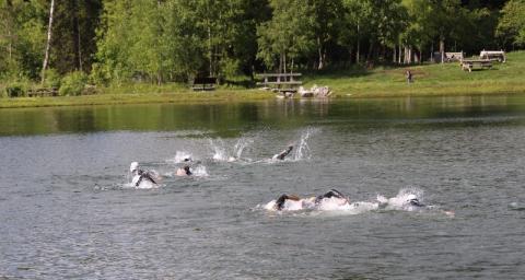 Nailing your open water swim: our top 10 tips